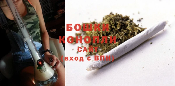 шишки Арсеньев