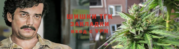 шишки Арсеньев