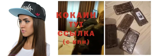 шишки Арсеньев