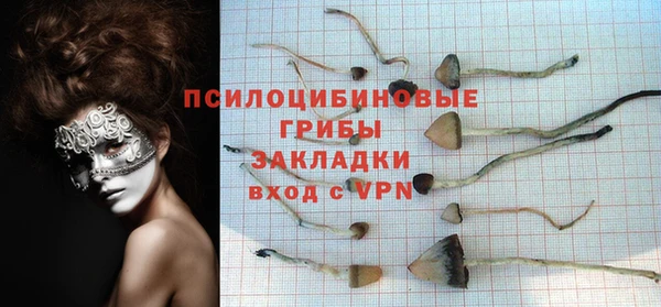 шишки Арсеньев