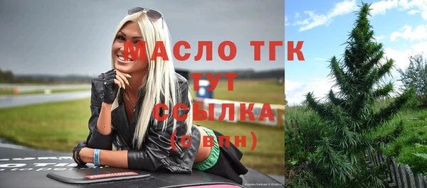 шишки Арсеньев