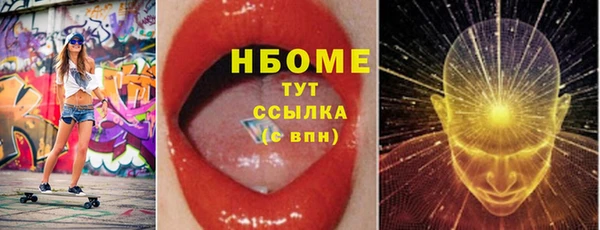 шишки Арсеньев