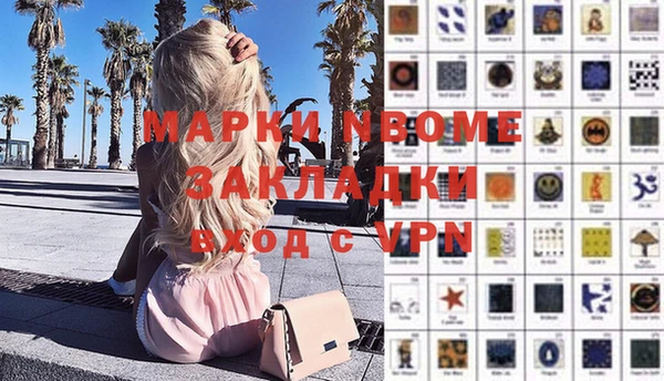 шишки Арсеньев
