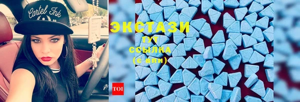 шишки Арсеньев