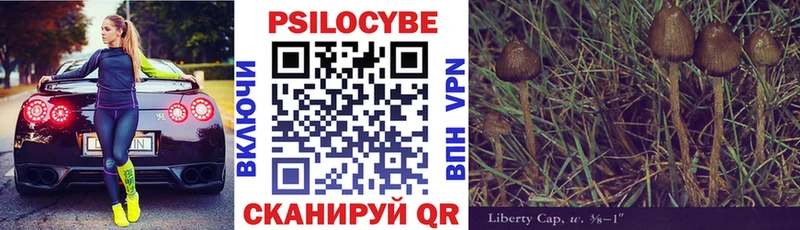 Галлюциногенные грибы прущие грибы  Купить закладки  Нерчинск 