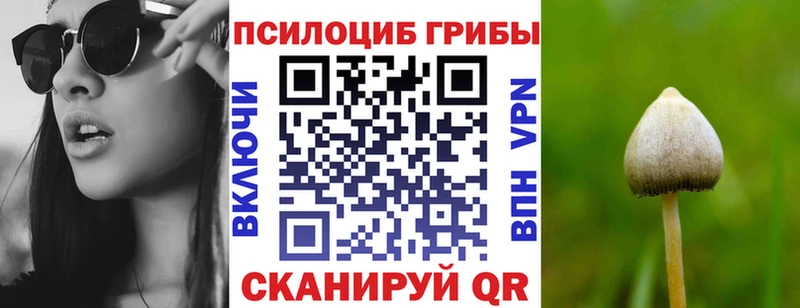 Псилоцибиновые грибы прущие грибы Нерчинск